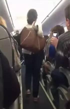 美国华人圈爆料事件视频,揭秘背后真相  第2张