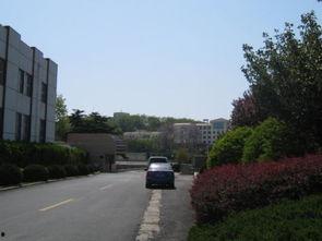 连云港墟沟最新爆料,揭秘墟沟发展新篇章 第1张 连云港墟沟最新爆料,揭秘墟沟发展新篇章 第1张